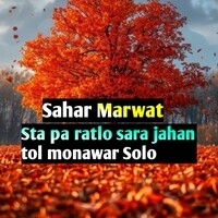 Sta pa ratlo sara jahan tol monawar Solo