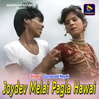 Joydev Melai Pagla Hawai