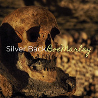 Silver Back