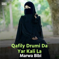 Qafily Drumi Da Yar Kali La