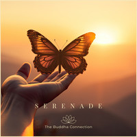 Serenade