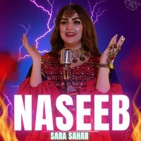 Naseeb