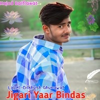 Jigari Yaar Bindas