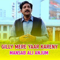 Gilly Mere Yaar Kareny