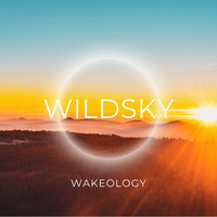 Wakeology