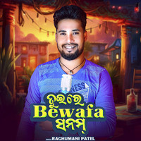 Tui Re Bewafa Sanam