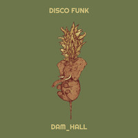 Disco Funk