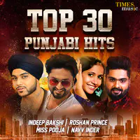 Top 30 Punjabi Hits