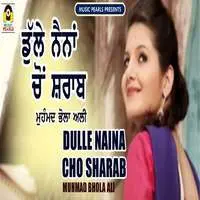 Dulle Naina Cho Sharaab