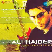 Gore Rang Ka Zamana - Best Of Ali Haider