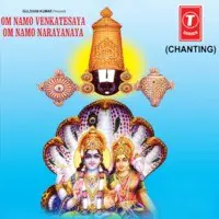 Om Namo Venkatesaya Om Namo Narayanaya