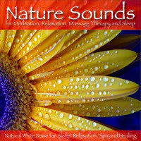 Nature Sounds for Meditation, Relaxation, Massage Therapy and Sleep