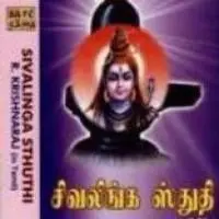 Sivalinga Sthuthi R Krishnaraja Tamil Devotiona