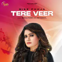 Tere Veer