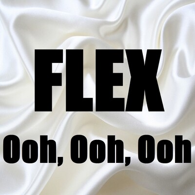 Flex (Ooh, Ooh, Ooh) (In the Style of Rich Homie Quan) [Karaoke Version]