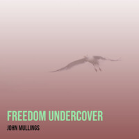 Freedom Undercover
