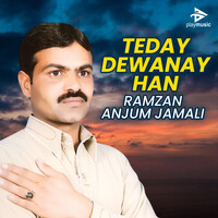 Teday Dewanay Han