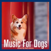 Music for Dogs - Ultimate Dog Sleep Collection