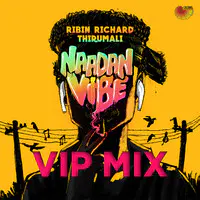 Naadan Vibe (Vip Mix)