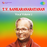 T.V. Sankaranarayanan - Vocal,Vol. 2