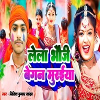 holi song baigan tori gela bhauji download mp3