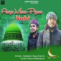 Aaye Mere Pyare Nabi