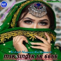 MSK SINGER SR 6666
