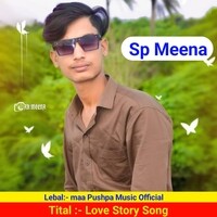 love Story Song