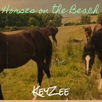 Horses on the Beach