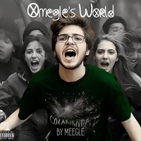 Omegle's World