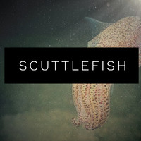 Scuttlefish