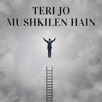 Teri Jo Mushkilen Hain