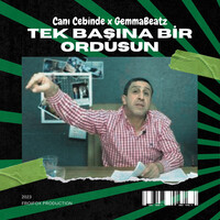 Tek Başına Bir Ordusun