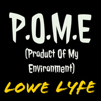 P.O.M.E. (Product of My Environment)