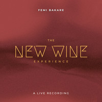 The New Wine Experience (Live)