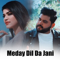 Meday Dil Da Jani