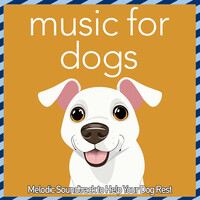 Music for Dogs - Melodic Soundtrack to Help Your Dog Rest