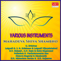 Mahadeva Shiva Shambho