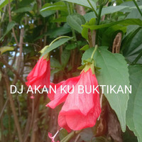 DJ Akan Ku Buktikan