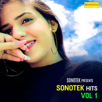 Sonotek Hit Vol 1