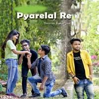 Pyarelal Re