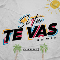 Si Tu Te Vas (Remix)