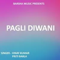Pagli Diwani ( Nagpuri Song )