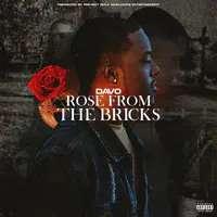 Rose from the Bricks