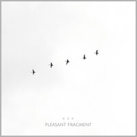 Pleasant Fragment