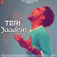 Teri Yaadein