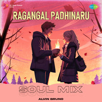 Ragangal Padhinaru - Soul Mix