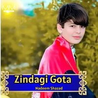 Zindagi Gota