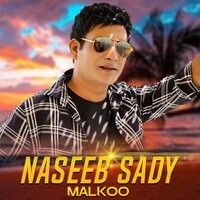Naseeb Sady