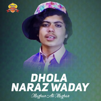 Dhola Naraz Waday